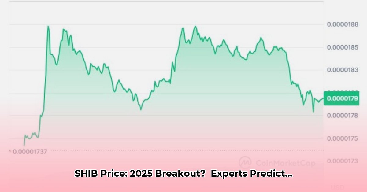 shib-price-breakout-potential